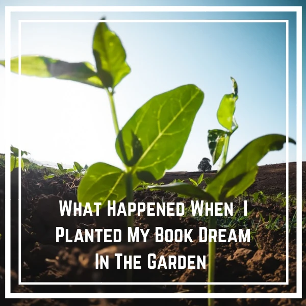 #Writers #AmWriting