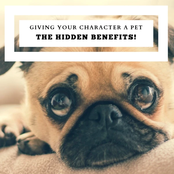 Giving Your Character A Pet - The Hidden Benefits #NaNoWriMo #AmWriting