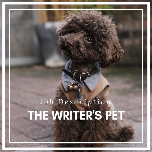 #writer #writing #pets
